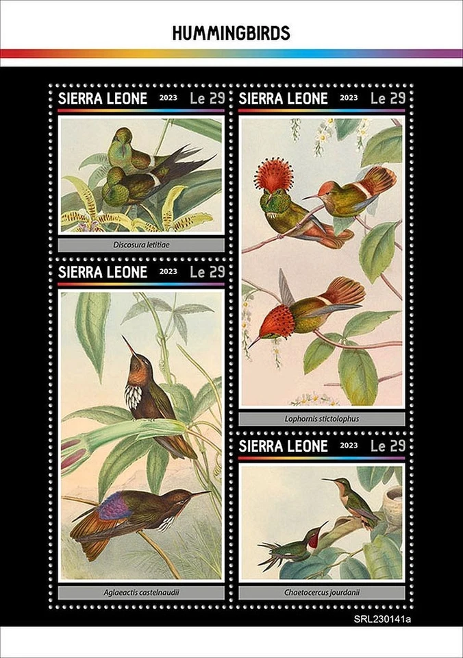 HUMMINGBIRDS Birds Hummingbird Bird MNH 4v-Stamp Sheet #2323 (2023 Sierra Leone) - Image 1 of 1