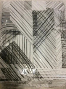 West Elm Two (2) Cotton Canvas Abstract Lines Print Curtains 48x108 Stone White - Picture 1 of 2