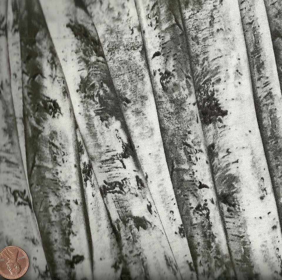 Birch Trees wildlifle Timeless Treasures  fabric - Image 1 of 1