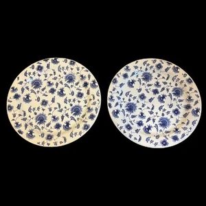 Pier 1 Made in Italy Set of 2 Blue and White Floral Cottagecore Dinner Plates - Picture 1 of 7