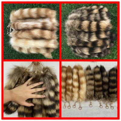 Venta al por mayor 2/6/10/20/50 American Raccoon Cola Llavero de piel real Cosplay Colgante Foto 1 de 4