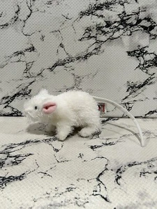 Lil Kinz White Mouse HS207 Webkinz No Code By Ganz Retired - Picture 1 of 6