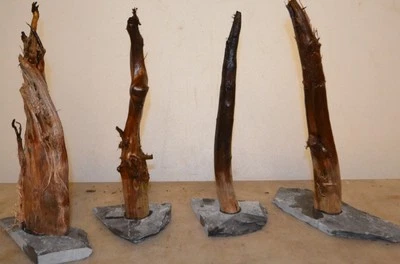 Diskus-Moorkienstämme 4 Stück einzelt auf einer Schieferplatte ca 25-30 cm hoch - Bild 1 von 4