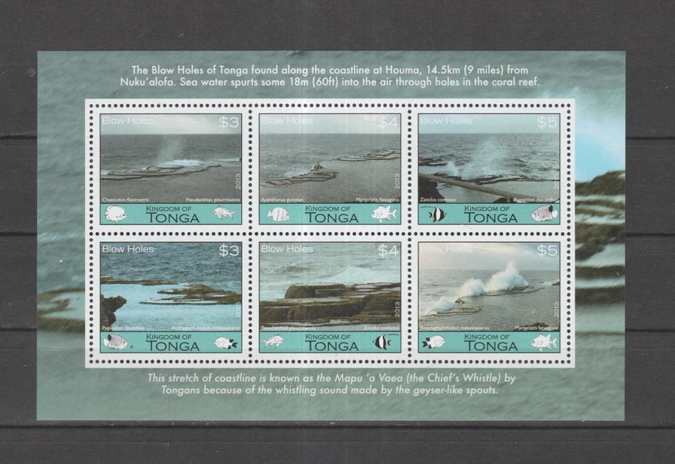 DEC-TONGA MNH SOUV. HOJA SC#1202 AGUJEROS DE SOPLADO Y PECES SCV $27.00 Foto 1 de 1