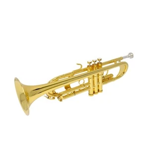 Schiller Frankfurt Elite Custom with Flashing Gold Plated - Picture 1 of 6