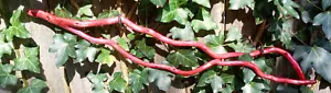 22" Hand Carved Curly Willow Wand Witch Pagan Wizard Renaissance Faire LARP #36 - Picture 1 of 14