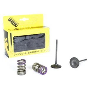 Pro-X Racing KIT IN VALVE+SPRING KXF250, PROX 28.SIS4336-2 INTAKE - Picture 1 of 2