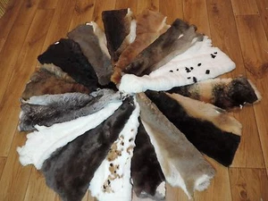 Premium Rex pieles de conejo Rex piel de conejo piel de conejo piel de conejo - Imagen 1 de 32