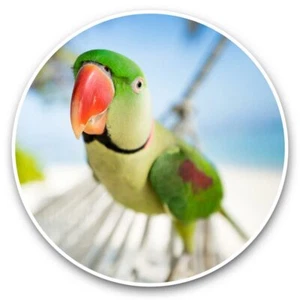 2 x Vinyl Stickers 30cm - Parakeet Parrot at a Tropical Beach #45988 - Bild 1 von 8