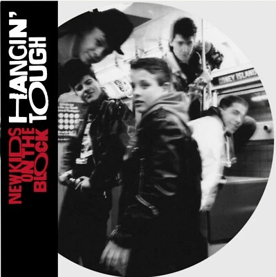 NEW KIDS ON THE BLOCK LP Hangin' Tough PICTURE DISC Limited Edition 2020 SEALED - Image 1 of 4