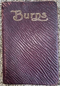 The Complete Poetical Works of Robert Burns, Thomas Y. Crowell Co 1900 - Bild 1 von 8