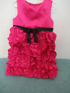 (F) Girls Silly Minis Size 6 Ruffled Roses Dress  - Picture 1 of 7