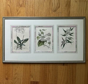 Antique Joseph Paxton 1848 Hand Colored Botanical Prints Triptych Museum Framed - Picture 1 of 17