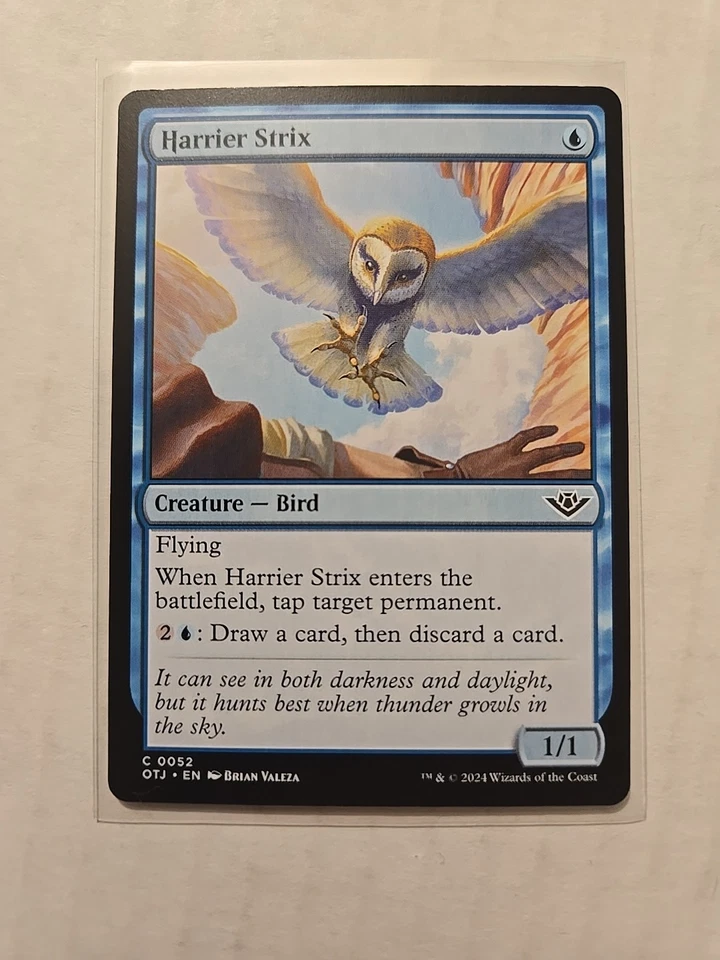 Harrier Strix - Outlaws of Thunder Junction - LP - Common - Creature - MTG - Image 1 of 1
