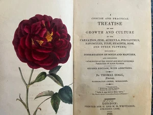 1822 Hogg Practical Treatise Culture Carnation Pink Tulip Auricula Polyanthus - Picture 1 of 8
