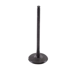 Válvula de admisión Kawasaki STX 12F STX 15F 2003 2004 2005 2006 2007 2008 - Imagen 1 de 4