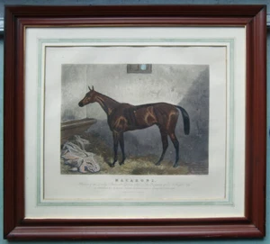 Harry Hall 1868, Rennpferd große Radierung gerahmt - Bild 1 von 5