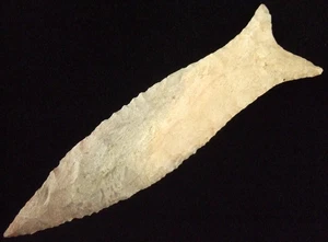 Außergewöhnlich feine 4 1/8 Zoll Tennessee Beaver Lake Point Einblick Echtheitszertifikat Pfeilspitzen - Bild 1 von 4