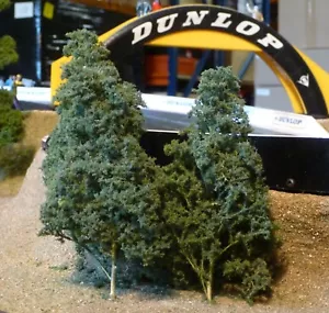 12-STÜCK Jordan Baum NATUR-BÄUME 15cm hoch "SEHR SCHÖN" 4B - Bild 1 von 6