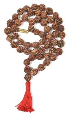 Hand Knotted 5 Mukhi Rudraksha Half Mala (54+1 Beads) - 12mm Bead Size - - Image 1 of 4