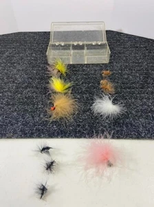 Random Box of Flies - Picture 1 of 8