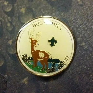 Insignia prendedor Scouts Buck Hill Family Campground - Imagen 1 de 2