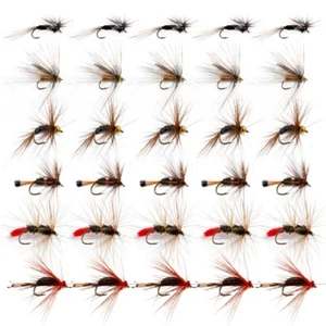 30pcs/lot Fly Fishing Flies Dry Wet Flies Bass Trout Fly Fishing Lures Bait Hook - Picture 1 of 6