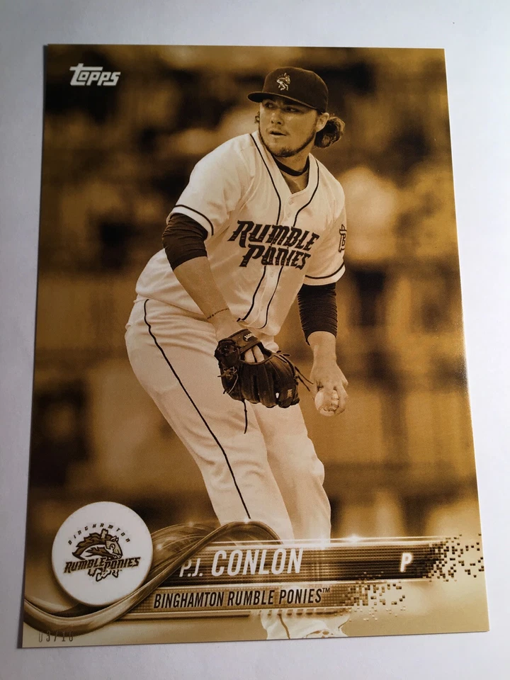 2018 Topps Pro Debut Jumbo 5x7 P.J. Conlon Rumble Ponies 28 Gold 03/10 - Image 1 of 1