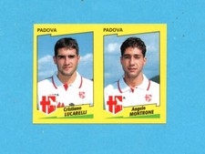 PANINI CALCIATORI 1996-97-Figurina n.494- LUCARELLI+MONTRONE -PADOVA-NEW VELINA