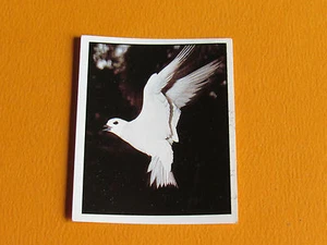 N°284 PANINI WORLD WILDLIFE FUND WWF 1 ANIMAUX A SAUVER 1986 - Imagen 1 de 1