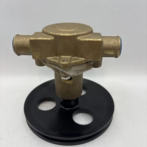18830-0010 For Sherwood Pleasurecraft Jabsco G20 G21 Water Pump RA057007 - Picture 1 of 12