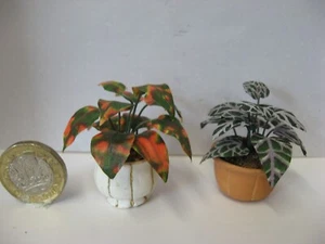Dolls house 1/12  2x House plants in pots .  - Picture 1 of 3