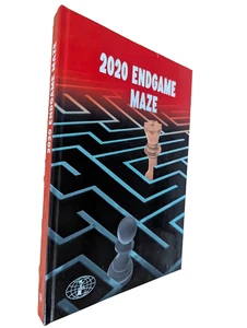 2020 Endgame Maze Hardcover Chess Book by  Chess Informant Sahovski - Picture 1 of 11