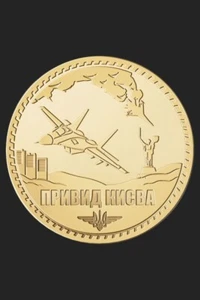 Souvenir Coin -  Ghost of Kyiv Aircraft MIG-29 Pilot - Token in capsule 2024 - Picture 1 of 6