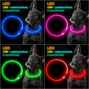 LED Hundehalsband / CLIP wiederaufladbar für alle Größen USB Halsband elanox neu - Bild 1 von 75
