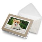 Greetings Card (Biege) - Fluffy Welsh Corgi Puppy Dog #2702