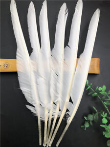Wholesale beautiful Natural Turkey Wing Feather 12-14 inches/30-35 cm 10-100pcs 