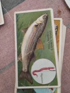 Sk184 CHURCHMAN-PESCADO Y CEBO 1914- Nº 34 arrugado - Imagen 1 de 1