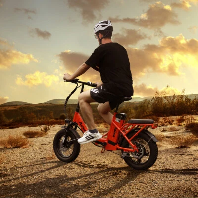 Bicicleta eléctrica plegable de ciudad 16" 500W 36V Fat Tire 7 velocidades nieve playa Foto 1 de 4