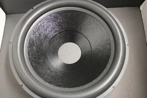 18" Paper Speaker Subwoffer Cone Foam Surround 2" - VC 3 Fat Surround ol - Picture 1 of 9