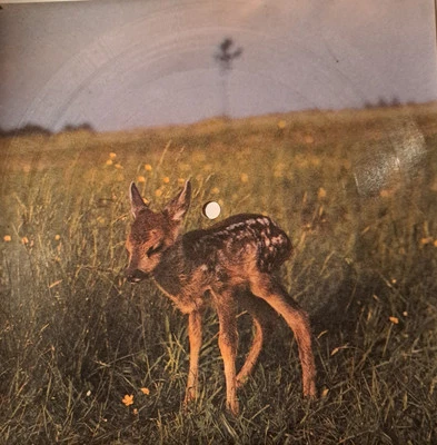 Johnny Rivers - Curious Mind (1978)  - Bild 1 von 2