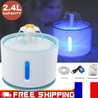 Les Meilleures Fontaines à Eau Chat Comparatif Guide