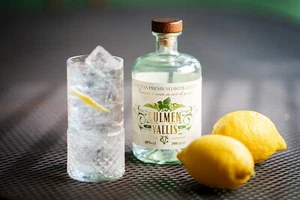 Culmen Vallis Venetian Gin, 700ml - Foto 1 di 10