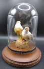 Vintage bell jar faux taxidery 2 small birds under glass wooden base 5.5&quot; tall