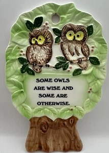 Vintage Owl Kitchen Plaque Spoon Rest “ Some Owls Are Wise Some Otherwise “ - Picture 1 of 6