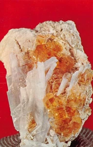 Postcard OH: Celestite & Fluorite, Clay Center, Ohio, Unposted - Picture 1 of 2