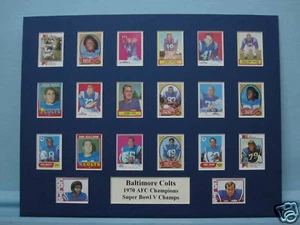 Baltimore Colts - 1970 AFC y Super Bowl V Champs - Imagen 1 de 1