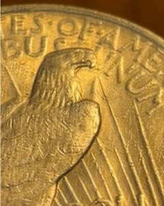 NICE DIE CLASH! 1923-P Peace Dollar Error. Spike, Eagles Right Shoulder. PD-003 - Picture 1 of 10