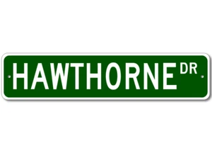 Hawthorne Drive Street Sign Personalized Custom Last Name Metal Sign - Aluminum - Picture 1 of 1