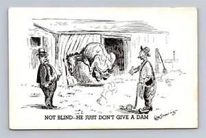 Nicht blind - Er gibt einfach keinen Dam - William Standing Postkarte - Bild 1 von 2